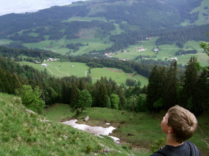 Blick nach Gunzesried - S&auml;ge