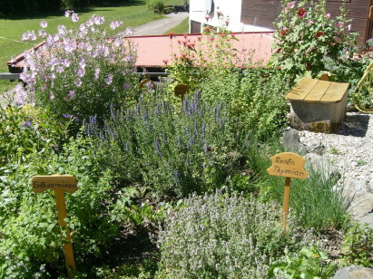 Buhl�s Kr&auml;utergarten